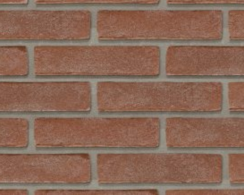 Steenstrip geba 830 rood vormbak waalformaat.