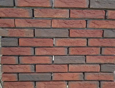Metselsteen Dommelrood gereduceerd donker spec hv wf