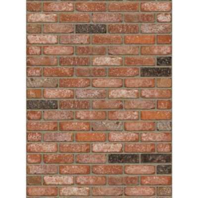 Dikformaat steenstrip getrommeld rood - Geba 211