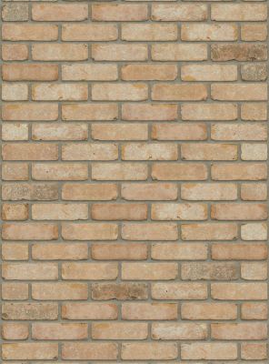 Dikformaat steenstrip getrommeld geel - Geba 215