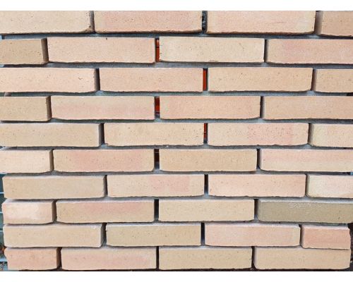 Metselsteen Koekoeksbloem Geel genuanceerd wasserstrich waalformaat.